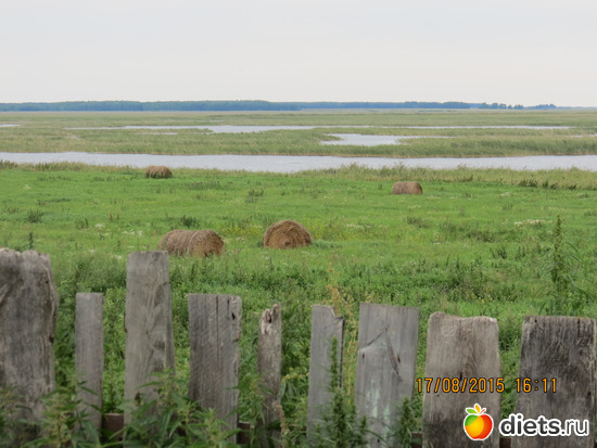 у Тони за оградой такая красота..., альбом: Ишим