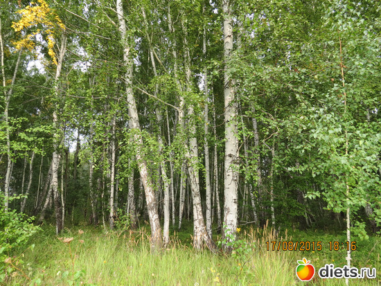 33 фото: Ишим