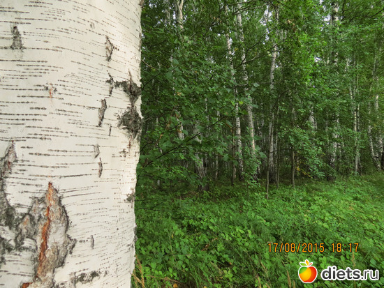 34 фото: Ишим