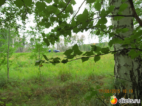 35 фото: Ишим