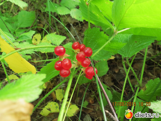 36 фото: Ишим