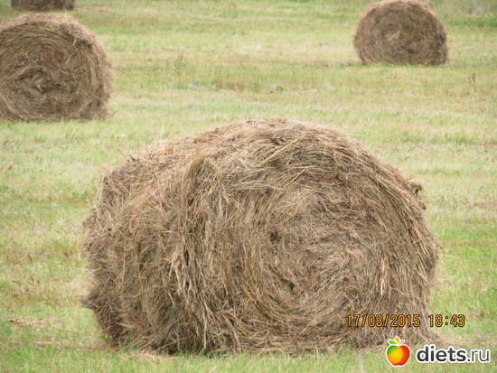 38 фото: Ишим