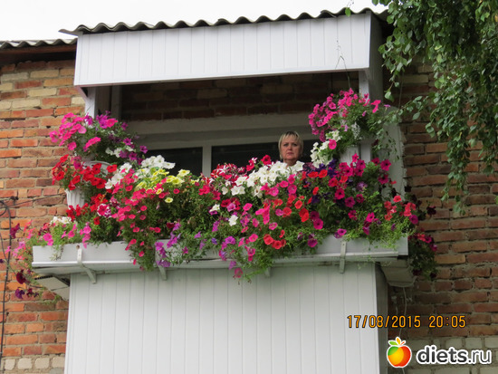 41 фото: Ишим