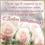 Розы