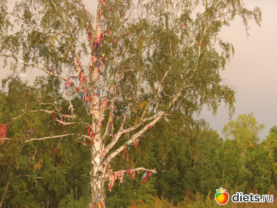 дерево желаний, альбом: Ишим