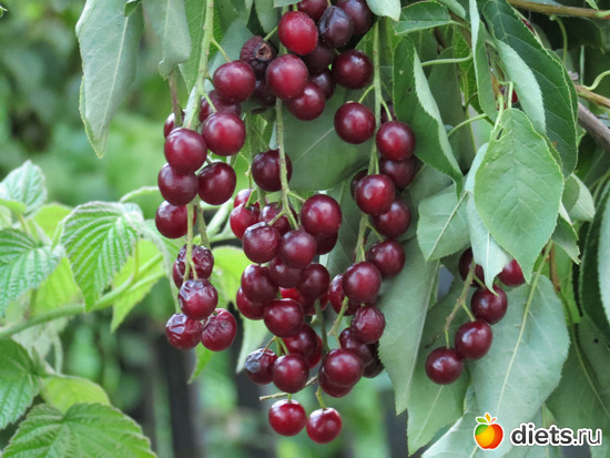 80 фото: Ишим