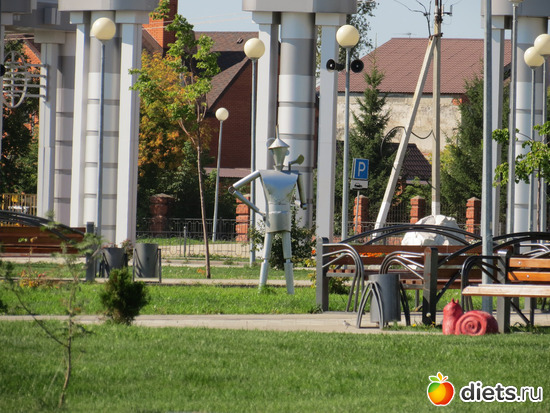 в парке есть свой железный дровосек, альбом: Ишим