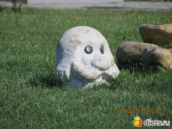 86 фото: Ишим