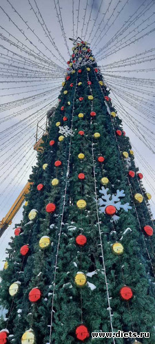 ���� � ������� ������ (����������), ������: 2025 ���������