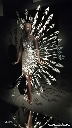 5 фото: Ирис ван Харпен (дизайн мода)