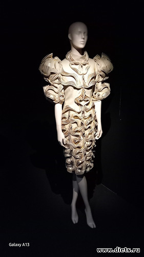 9 фото: Ирис ван Харпен (дизайн мода)