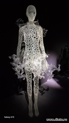 1 фото: Ирис ван Харпен (дизайн мода)