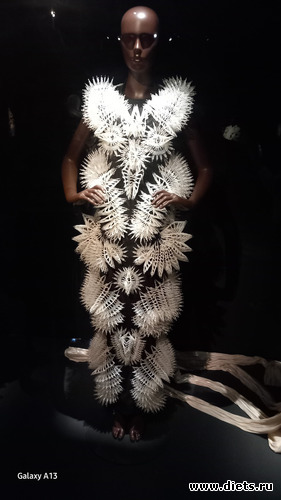 3 фото: Ирис ван Харпен (дизайн мода)