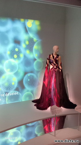 4 фото: Ирис ван Харпен (дизайн мода)