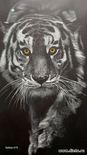 пастель, альбом: современные художники