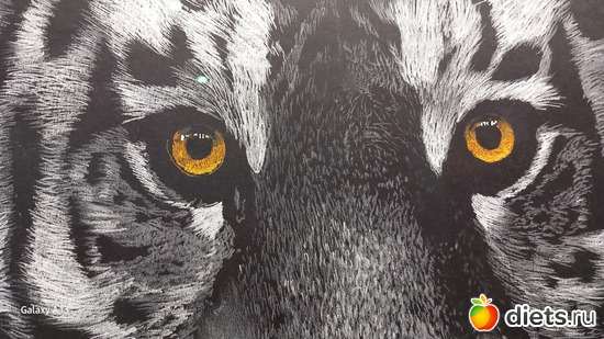 6 фото: современные художники