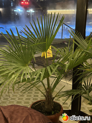 Отапливаемая беседка в Распутине, альбом: Поездка в Распутин