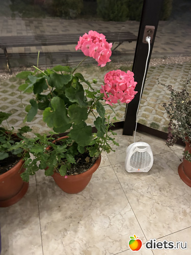 6 фото: Поездка в Распутин