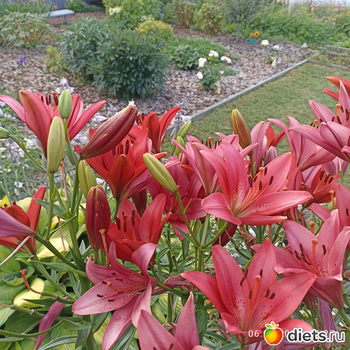 16 ����: ������������