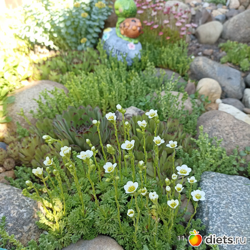 34 ����: ������������