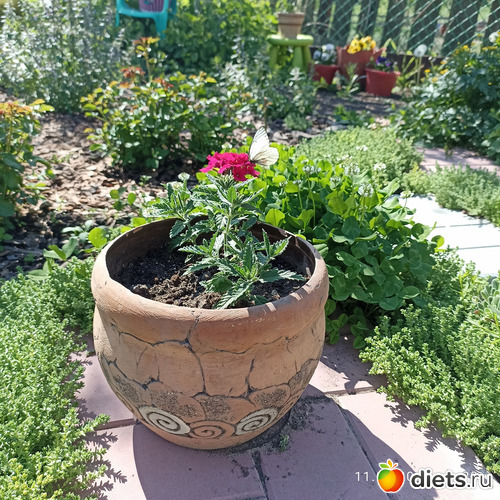 36 ����: ������������