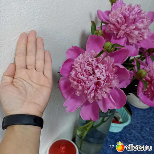 63 фото: ЛилинЦветник