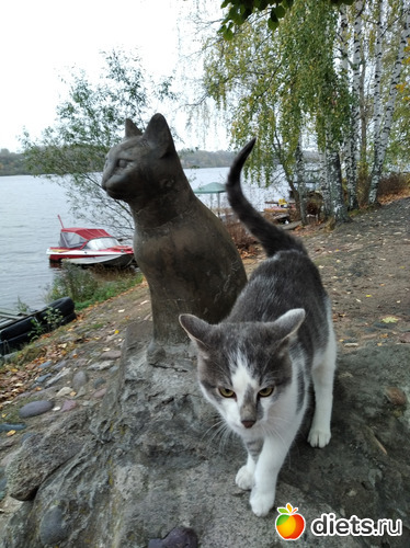 Памятник кошке, альбом: 2023-10-07 и 08 Плёс