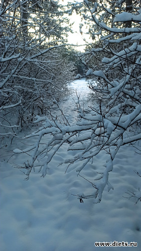 4 фото: ! Походы 2024