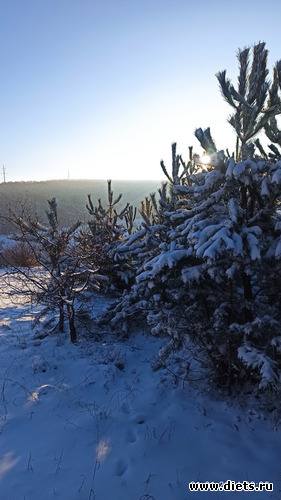 7 фото: ! Походы 2024