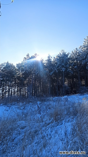 11 фото: ! Походы 2024