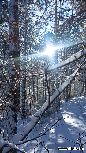 14 фото: ! Походы 2024