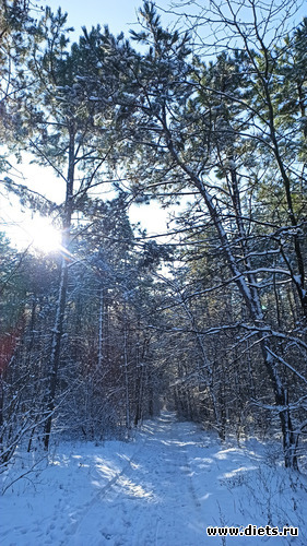 19 фото: ! Походы 2024