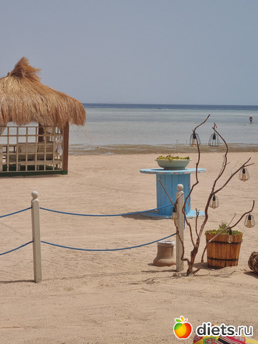 26 фото: Итого 2023