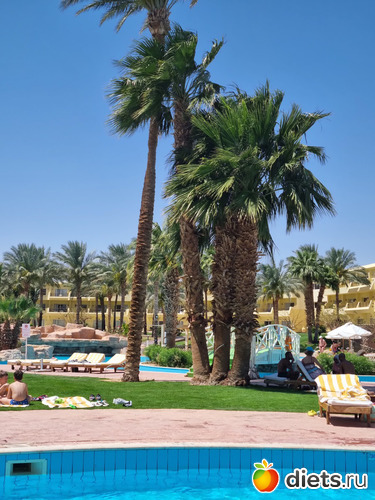 28 фото: Итого 2023