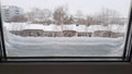 замело