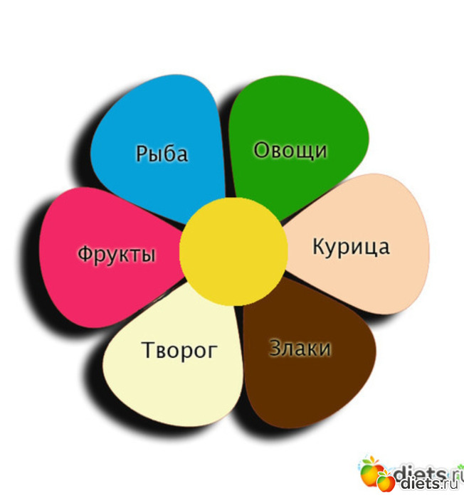 Диета 7 лепестков - меню на каждый день, советы и рекомендации.