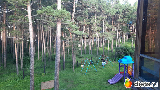 воон, вдали - наша качелька, альбом: Отдых с внучей в Боровом 2024