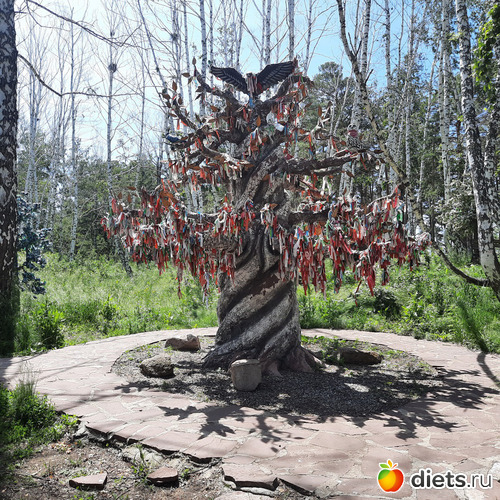 дерево желаний, альбом: Отдых с внучей в Боровом 2024