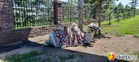 симпотяжка, альбом: Отдых с внучей в Боровом 2024