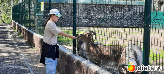 какое счастье для детей-кормить животных, альбом: Отдых с внучей в Боровом 2024