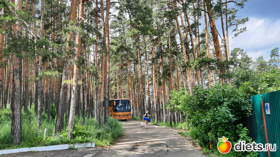 дорога на пляж, альбом: Отдых с внучей в Боровом 2024