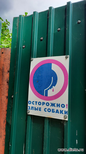 умора, альбом: Отдых с внучей в Боровом 2024