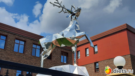 олень, альбом: Отдых с внучей в Боровом 2024