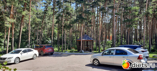 уезжаем... а другие приезжают, альбом: Отдых с внучей в Боровом 2024