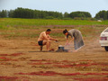 люди отдыхают, кошеварят