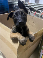 ��� ���� ����! ���������-�����, �������� ����� ������� ����������/ ������ ������� ������ ������/ ��� � ����� ������