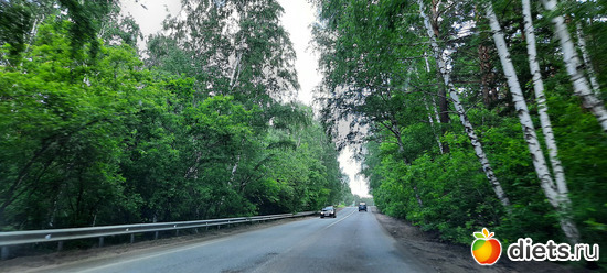 начинаются любимые леса, альбом: Отдых с внучей в Боровом 2024