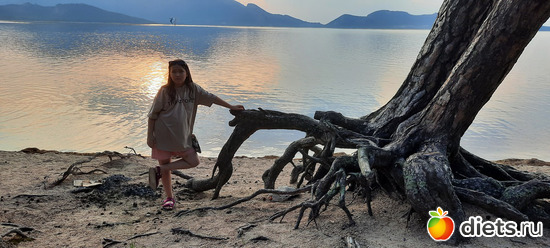 какие живучие деревья, альбом: Отдых с внучей в Боровом 2024