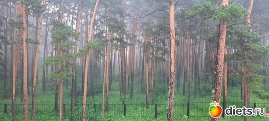 а вот и дождь, альбом: Отдых с внучей в Боровом 2024