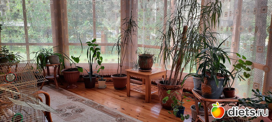 летний садик, альбом: Отдых с внучей в Боровом 2024